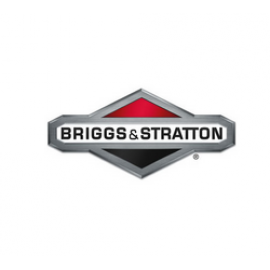 Briggs & Stratton