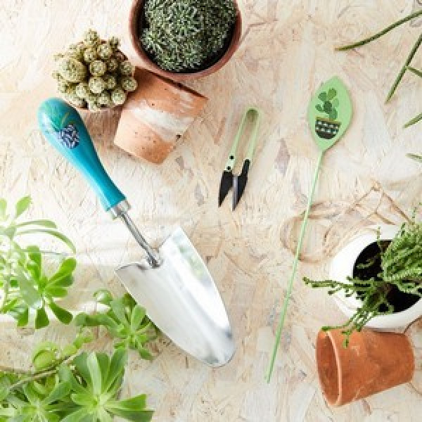 Buy Garden Trowel, Snips And Label Gift Boxed Online - Garden Tools & Devices