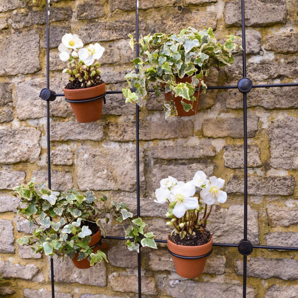 Buy Small Terracotta Pots Online - Flower Pots & Stands
