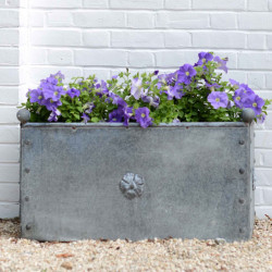 Galvanised Steel Traditional Trough Planter