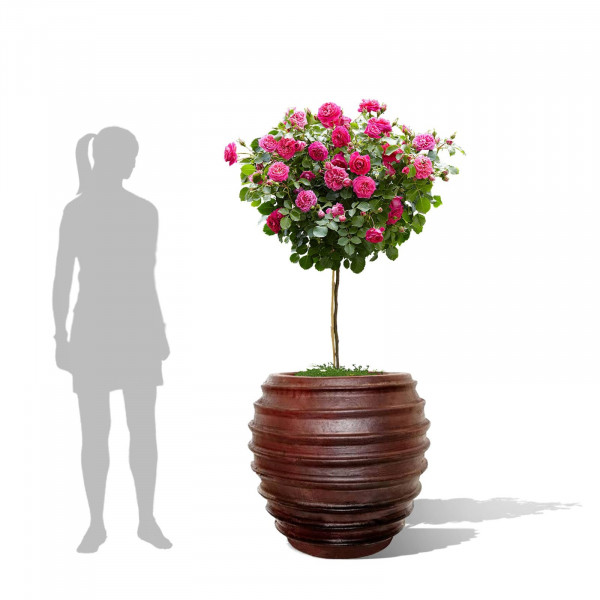 Buy Irun Ironstone Pot Online - Flower Pots & Stands Buy Irun Ironstone Pot Online - Flower Pots & Stands