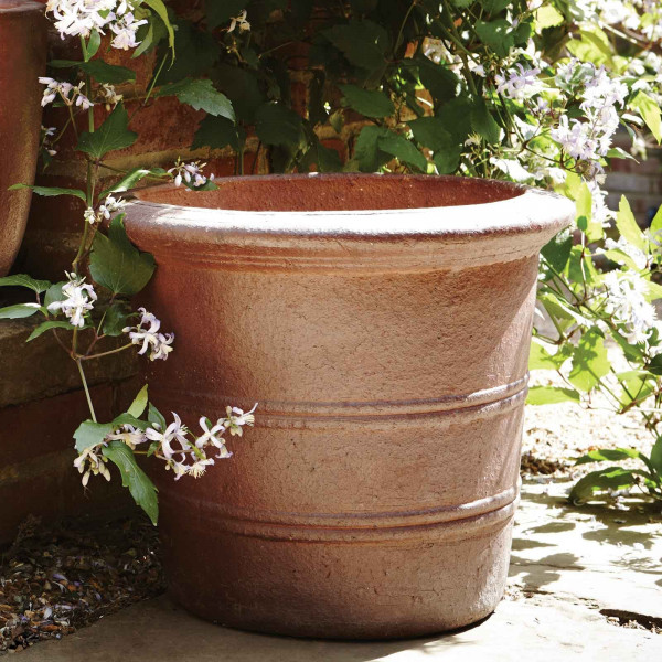Buy Florentine Terracini Pot Online - Flower Pots & Stands Buy Florentine Terracini Pot Online - Flower Pots & Stands