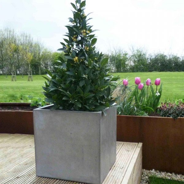 Buy Fresco Cube Planter (set Of 2) Online - Flower Pots & Stands