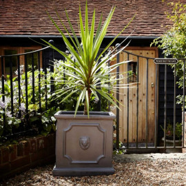 Clayfibre Square Lion Head Planter