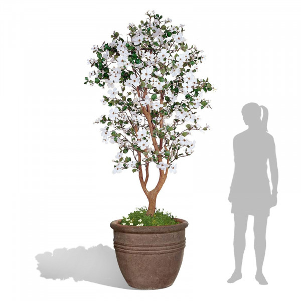 Buy Old Ironstone Lined Cylinder Pot Planter Online - Flower Pots & Stands Buy Old Ironstone Lined Cylinder Pot Planter Online - Flower Pots & Stands