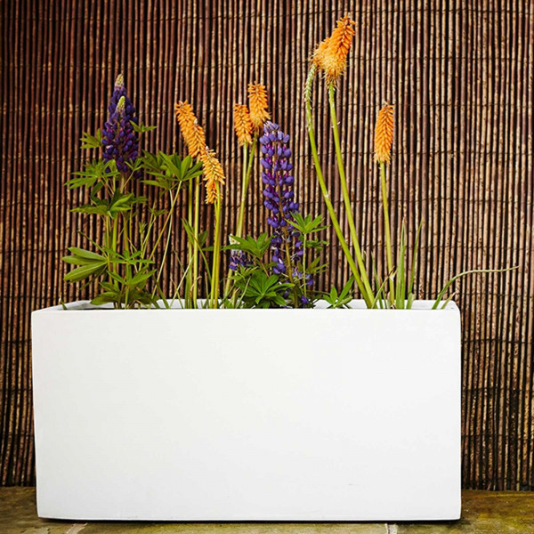 Buy Jumbo Poly Trough Online - Flower Pots & Stands