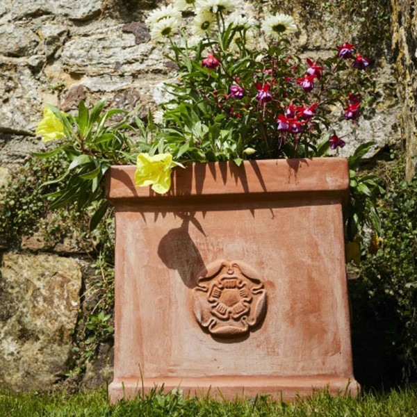 Buy Heritage Rose Box Planter (set Of 2) Online - Flower Pots & Stands Buy Heritage Rose Box Planter (set Of 2) Online - Flower Pots & Stands