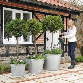 Galvanised Zinc Planters