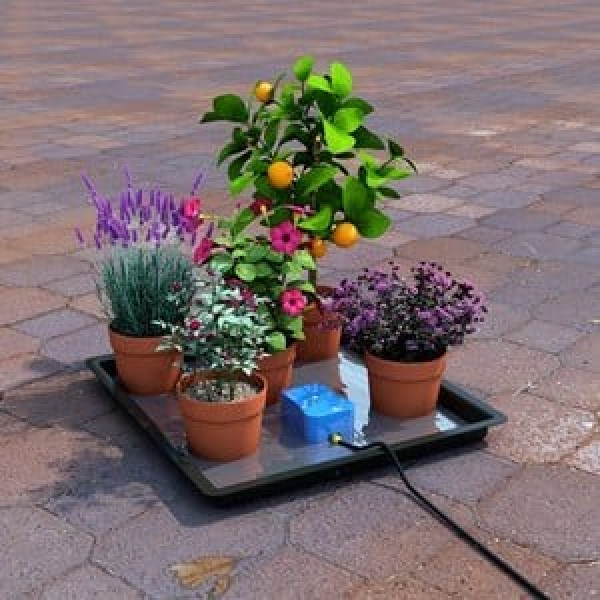 Buy Easy2go Holiday Watering Kit Online - Plants & Plant Care