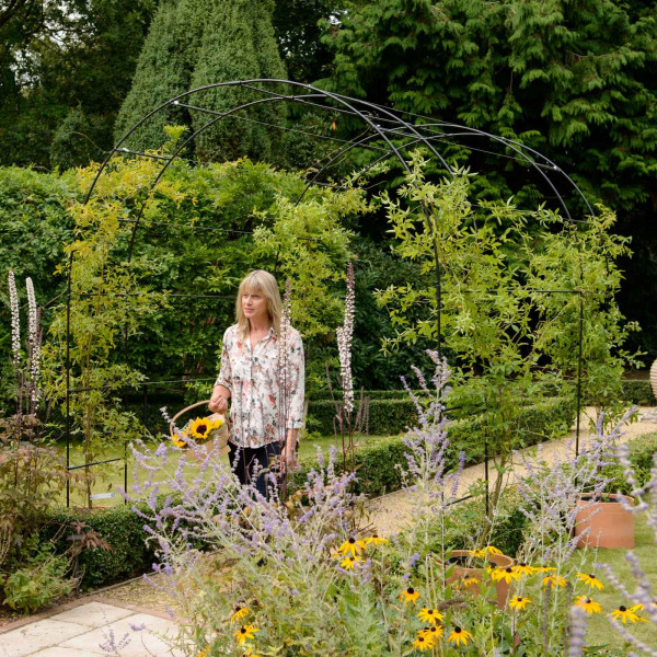 Buy Harrod Linked Vintage Wire Arches Matt Black Online - Garden Houses & Buildings Buy Harrod Linked Vintage Wire Arches Matt Black Online - Garden Houses & Buildings