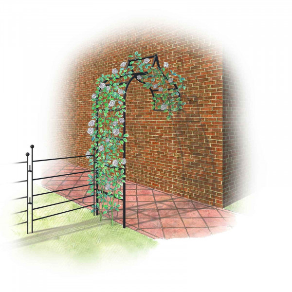 Buy Harrod Ogee Wall Arch Online - Garden Houses & Buildings