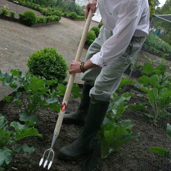 Buy Sneeboer Long Handled Fork Online - Plant Care & Earth Buy Sneeboer Long Handled Fork Online - Plant Care & Earth