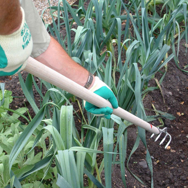 Buy Sneeboer Narrow Long Handled Rake Online - Garden Tools & Devices