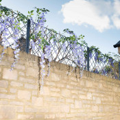 Garden Screens