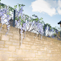 Buy Gardening Garden Screens Online Today Find Garden Screens deals Online - Keep your garden happy with Egardener Online