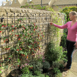 Harrod Decorative Wall Trellis Panels Straight Trellis