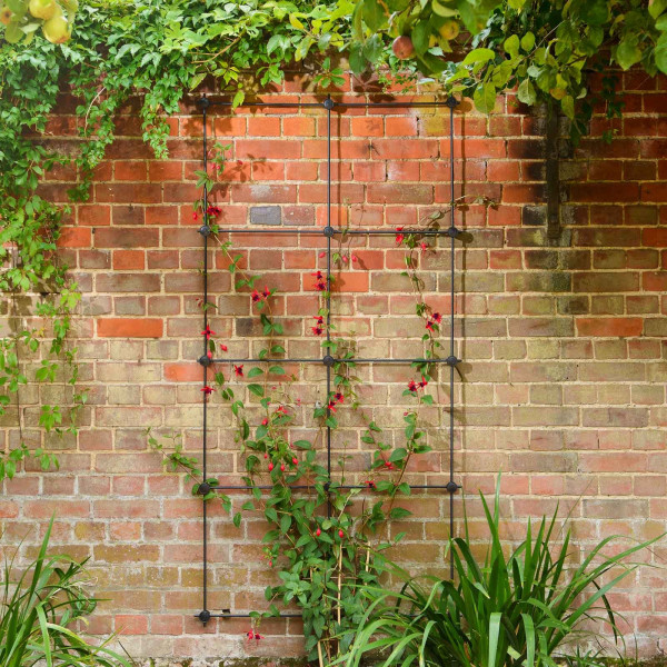 Buy Harrod Trellis System Kits Online - Other Garden Equipment & Decoration