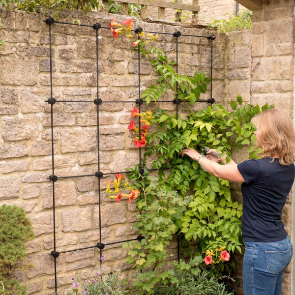 Buy Harrod Build Your Own Trellis Online - Other Garden Equipment & Decoration