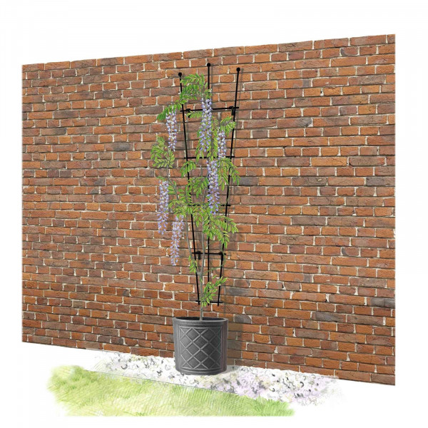 Buy 3 Finial Fan Trellis Online - Other Garden Equipment & Decoration