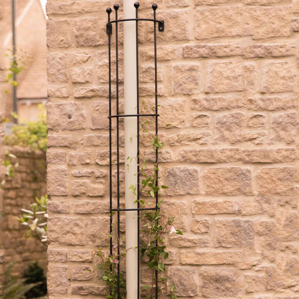 Buy Drainpipe Trellis Online - Other Garden Equipment & Decoration