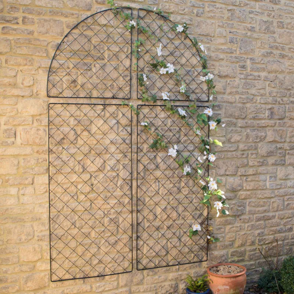 Buy Harrod Wall Trellis Frames Online - Other Garden Equipment & Decoration