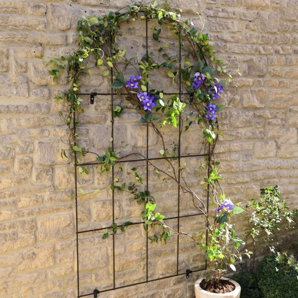 Buy Round Topped Wall Trellis Panel Online - Other Garden Equipment & Decoration
