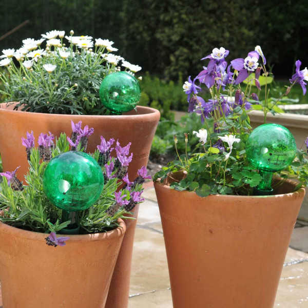Buy Holiday Watering Kit Online - Other Garden Equipment & Decoration
