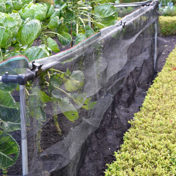 Buy Snail Barrier Netting Online - Against insects Buy Snail Barrier Netting Online - Against insects
