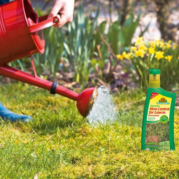 Buy Organic Moss Control For Lawns Online - Plants & Plant Care