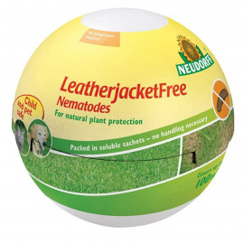 Leatherjacketfree Nematodes