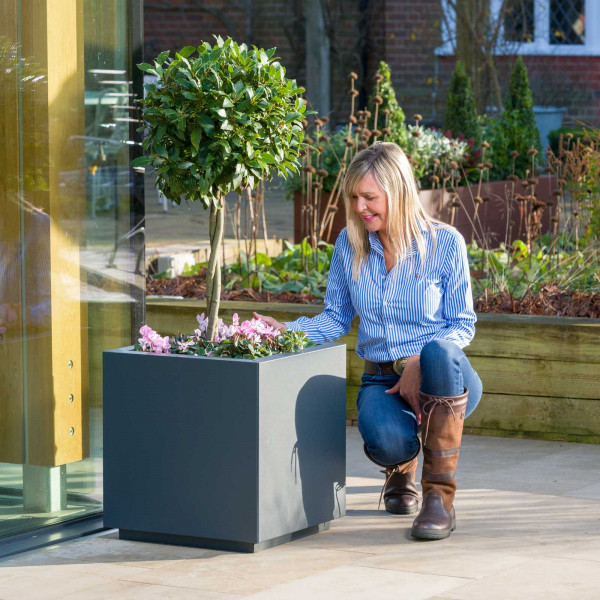 Buy Harrod Square Metal Planters Anthracite Grey Online - Flower Pots & Stands
