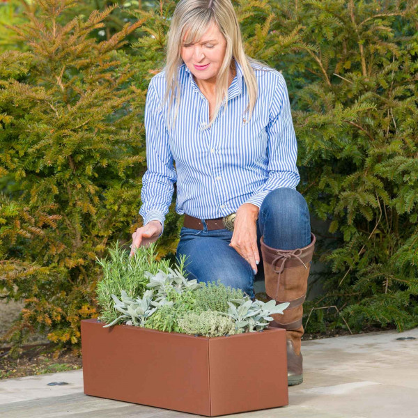 Buy Harrod Trough Metal Planters Corten Effect Online - Flower Pots & Stands