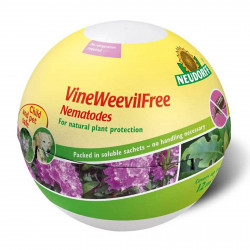 Vineweevilfree Nematodes