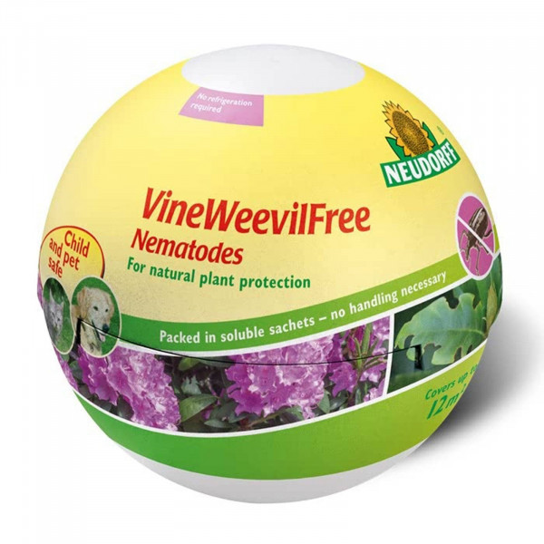 Buy Vineweevilfree Nematodes Online - Pest Control Buy Vineweevilfree Nematodes Online - Pest Control