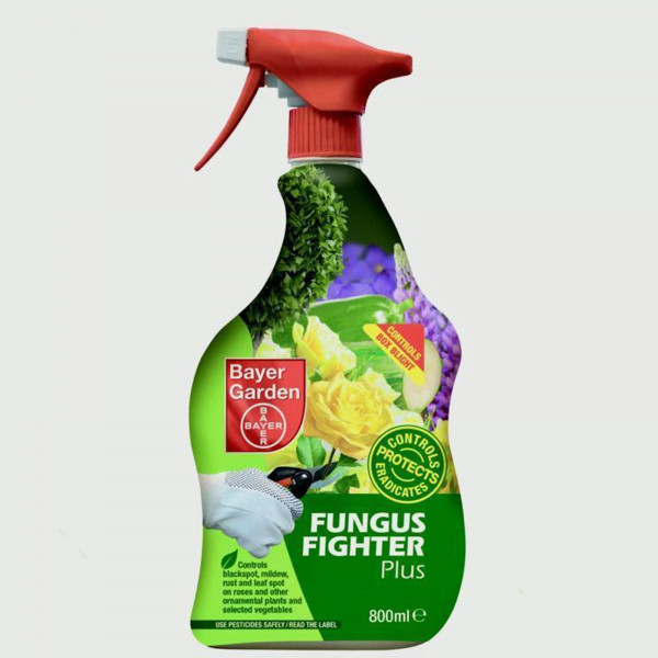 Buy Box Blight Fungus Fighter Online - Pest Control Buy Box Blight Fungus Fighter Online - Pest Control