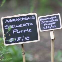 Blackboard Plant Label Clips