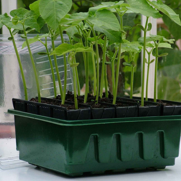 Buy Rootrainers Online - Plants & Plant Care