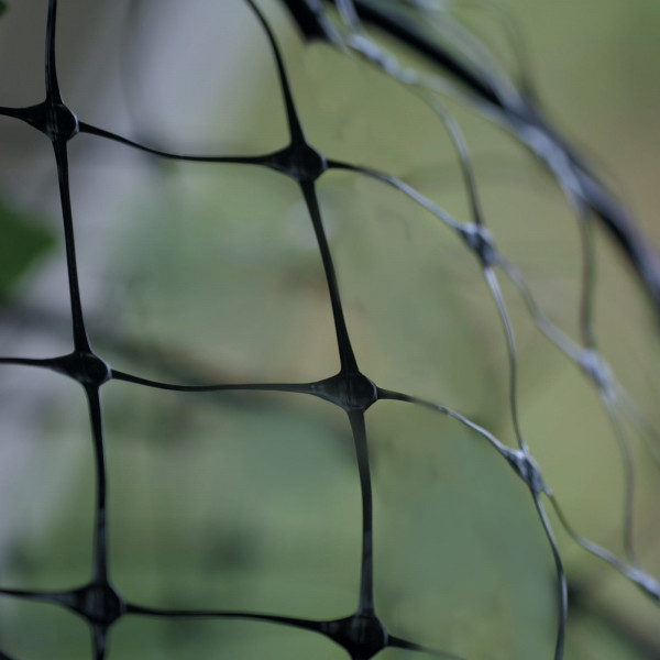 Buy Deer Fence Netting Online - Flower Pots & Stands Buy Deer Fence Netting Online - Flower Pots & Stands