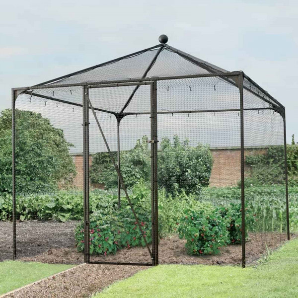 Buy Harrod Decorative Pyramid Roof Cage Online - Plants & Plant Care