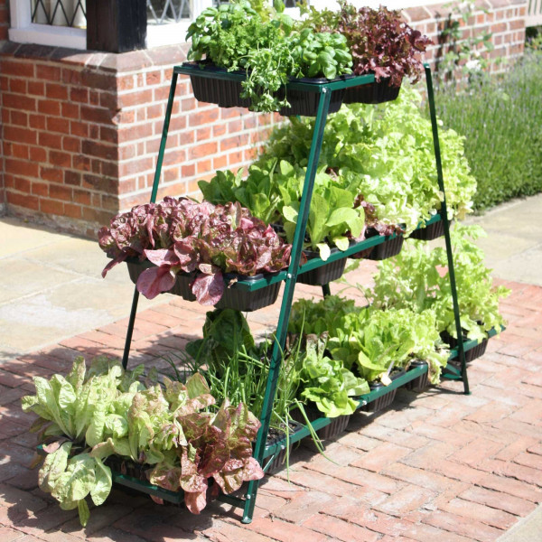 Buy Multi level 'patiogro' Accessories Only Online - Plants & Plant Care