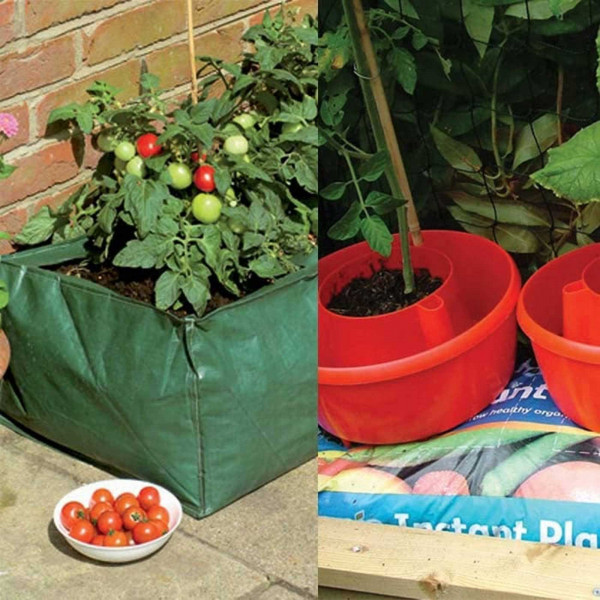 Buy Special Growbag Growing Offer Online - Plants & Plant Care