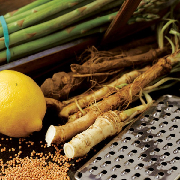 Buy Horseradish Thongs (Roots) Online - Green plants & flowering plants Buy Horseradish Thongs (Roots) Online - Green plants & flowering plants