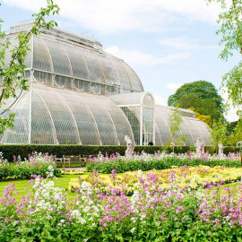 Visit to Kew Gardens with Thames River Cruise from Central London for Two