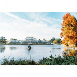 Visit Kew Gardens with Cream Tea for Two
