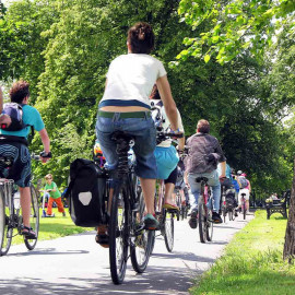 London Parks and Palaces Electric Bike Tour for Two