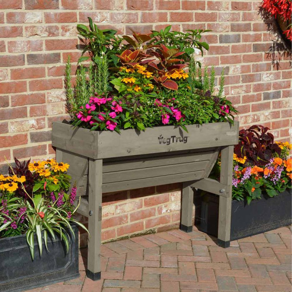 Buy Veg Trug Wall Hugger 1 Metre Greywash Online - Green plants & flowering plants Buy Veg Trug Wall Hugger 1 Metre Greywash Online - Green plants & flowering plants