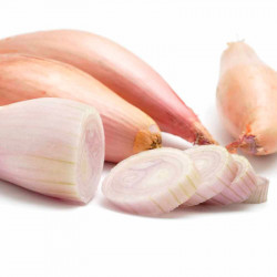 Shallot Bulbs Longor