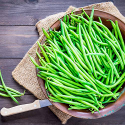 Dwarf French Bean Seeds Compass