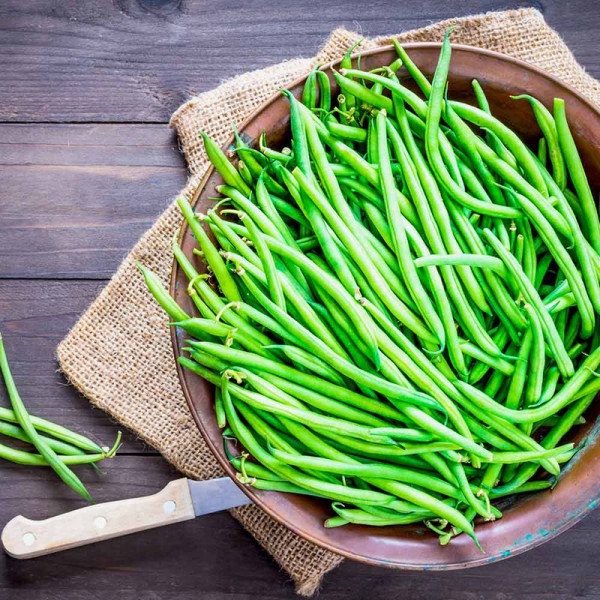 Buy Dwarf French Bean Seeds Compass Online - Green plants & flowering plants Buy Dwarf French Bean Seeds Compass Online - Green plants & flowering plants