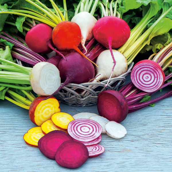 Buy Beetroot Seeds Rainbow Mix Online - Green plants & flowering plants